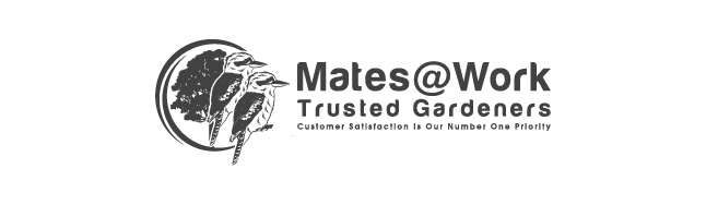 Client logo 2
